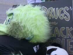 Ferguson Update Stock Footage