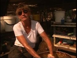 Sanctuary for dogs abandoned during recent conflict News Clip