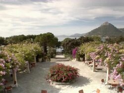 WS, HA, Outdoor cafe overgrown with flowering plants, Formentor, Majorca, Spain Stock Footage