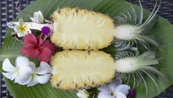 Sliced Pineapple, Frangipani and Hibiscus flowers Stock Footage