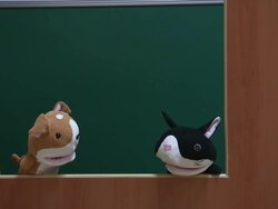 MS ZI Show of two hand puppets / Doha, Qatar   Stock Footage