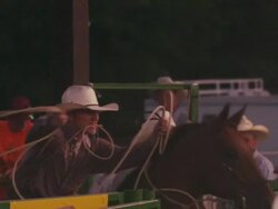 A cowboy with a lariat busts out the chute and attempts to rope a steer - shot in slow motion. Stock Footage