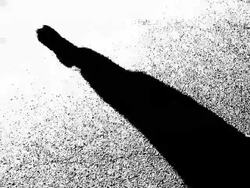 Shadow Man putting on hat Stock Footage