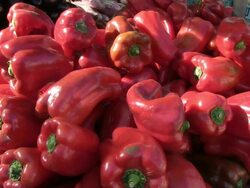 CU View of vegitables  / Pollenca, Mallorco Baleric Island, Spain Stock Footage