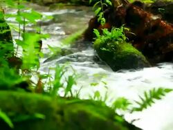 HD:Beautiful waterfall in nature selective focus from back to front.. Stock Footage