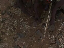 High Angle zoom-out - Hadza hunters search for animal tracks on the ground. / Tanzania Stock Footage