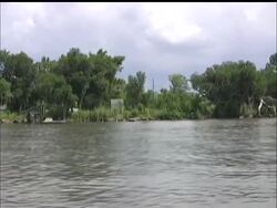 Work didn't used to mean what it means for Kris Hebert now: Seven days a week of being a "boat chauffeur," shuttling reporters, politicians and government workers to and from oil mop-up sites, a job that forces him to cruise daily past the marshes stained with crude. News Clip