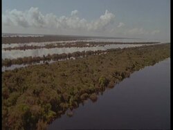 WA Aerial tracking over flooded rainforest in Amazon, South America Stock Footage