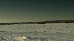 Snow covers the Alaskan tundra. Stock Footage