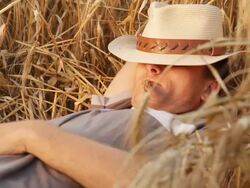 HD: Young Man Enjoying While Lying In Wheat Stock Footage
