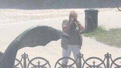 CLEAN : France hit by another heatwave News Clip