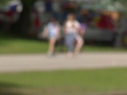 Families relaxing in a Birmingham park. News Clip