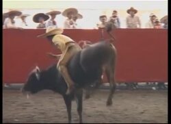 Horsemen display traditional riding and rodeo skills Instructional Video