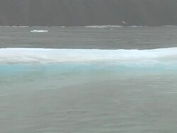 Melting Iceberg in the Arctic and North west Passage News Clip