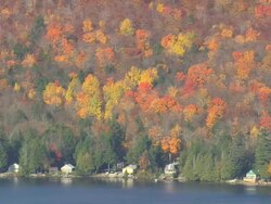 WS AERIAL ZI ZO View of small houses surrounded by trees at Howland / Maine, United States Stock Footage