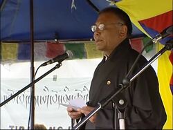 Protesters hold demonstration and alternative torch relay News Clip