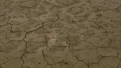 Cracked mud characterizes a dry lake bed. Stock Footage
