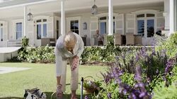 Senior woman watering flowers in garden Stock Footage