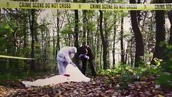 Crime Scene Investigation Stock Footage