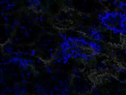 COSMIC LAVA - blue. expanding flow to the corners (loop) Stock Footage