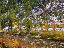 Snow, forest, mountain and river Stock Footage