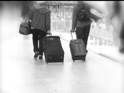 An Israeli citizen was about to board a plane for Israel when police arrested him in connection with a three-month stabbing spree that left five men dead, 13 others wounded and a city in terror. News Clip