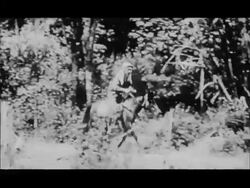 Ho Chi Minh propaganda film produced in Cuba Stock Footage