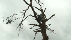 Recovery operation continues after deadly storms hit Lone Star state News Clip