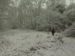 Lady walks through snow covered woods, towards camera, West Sussex, England Stock Footage