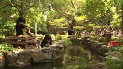 Animals enjoy frozen treats to help them cope with the heat News Clip
