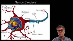 The Neuron Instructional Video
