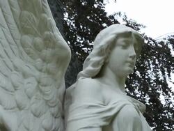 Cemetery Angel - 2 clips Stock Footage