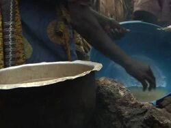 Woman selecting beans for food Stock Footage
