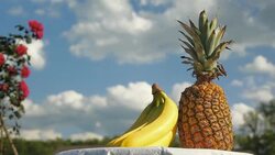 Fruits decoration Stock Footage