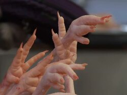 China Stockshots News Clip