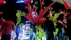 CLEAN : Christmas display lights up Medellin News Clip