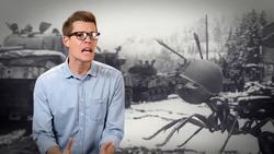 How Fire Ants Took Over America 🔥🔥🔥🔥🔥 Instructional Video