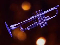 Trumpet Stock Footage