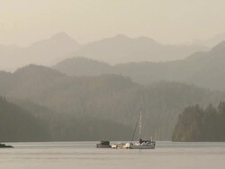 WS PAN View of Forested hills and yacht in Clayoquot Sound / Tofino, British Columbia, Canada Stock Footage