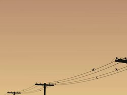 Birds Flying From Wire Stock Footage