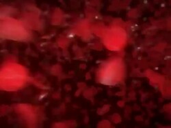 Close Up hand-held tracking-right - Parasitic worms move through red blood cells in a computer-generated animation. Stock Footage