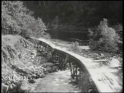 1940: SWEDEN MILITARY DEFENSE: HS TD Swedish soldiers firing anti-aircraft artillery. LOGGING: WS Log chute w/ water rushing logs. LA TU Water rushing over edge of structure, logs at bottom. Logs falling into river, loggers on logs by river. Instructional Video