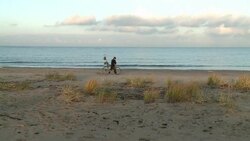 CLEAN : Autumn brings Baltic gold rush News Clip