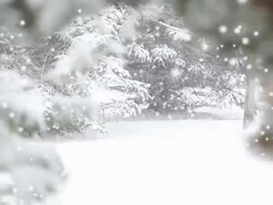Snowy Day in Park Stock Footage