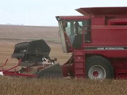 U.S. Farm Earnings Drop 14.6 Percent In Third Quarter AFter A Decline In Output Stock Footage