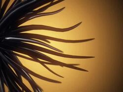 Abstract Shape (Loopable) Stock Footage