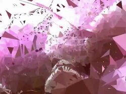 series transcendental fields : from peony, bright (LOOP) Stock Footage