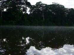 River traveling reflection tracking shot Stock Footage