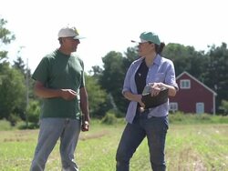 Farmer and agricultural consultant in field of GMO soybeans Stock Footage
