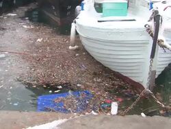 strong environmental pollution at the pier Stock Footage